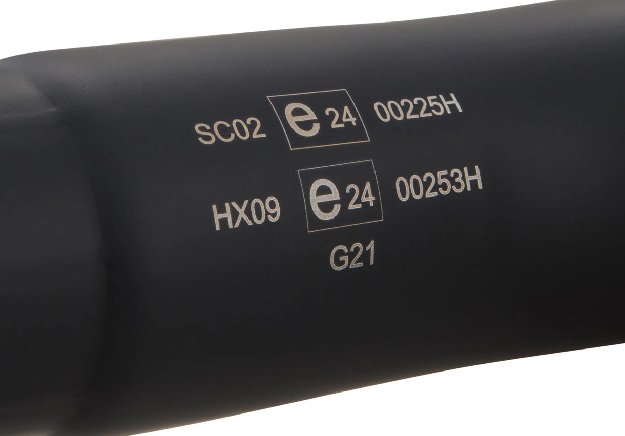 Racing Exhaust REMUS RS Black Edition