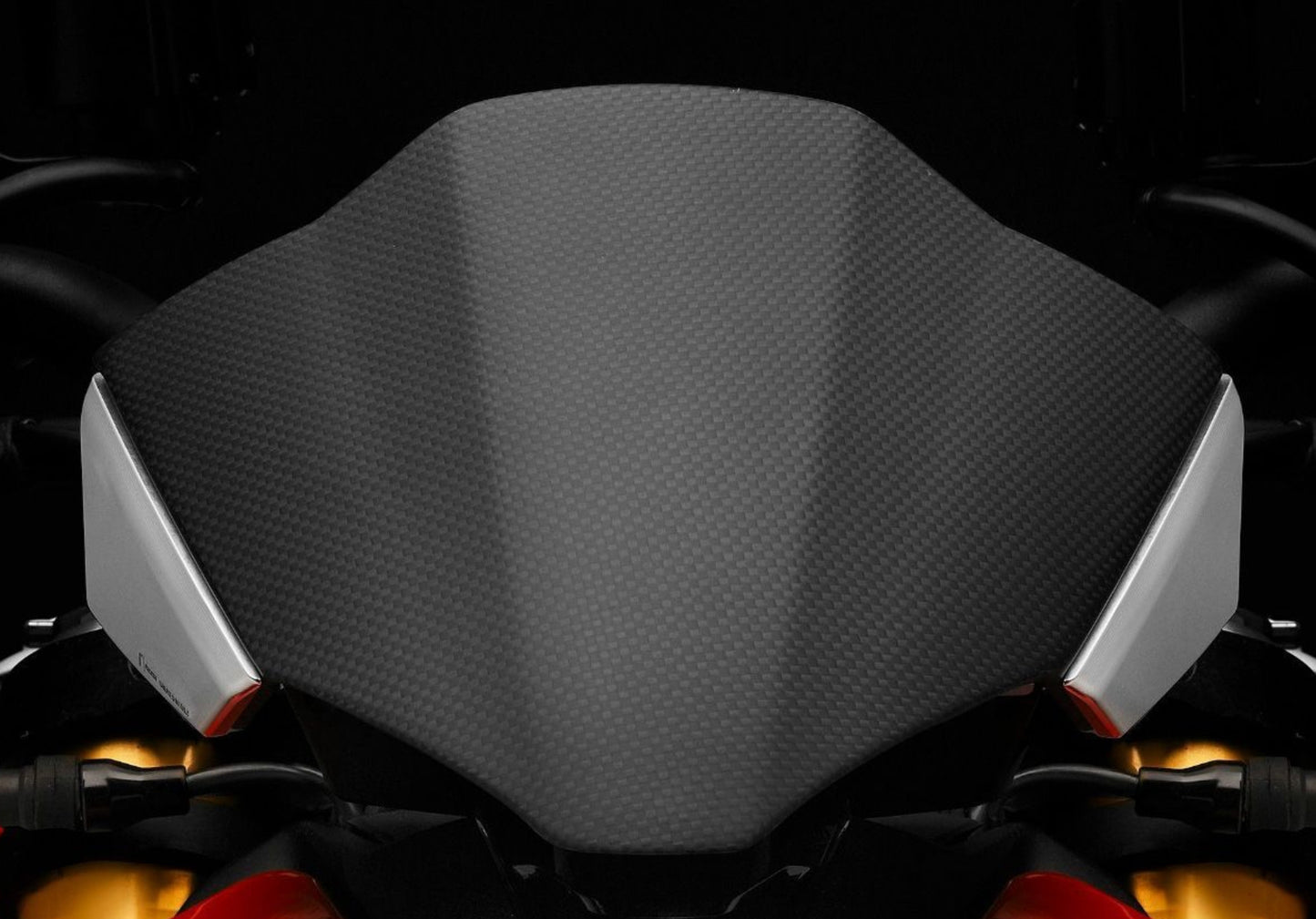 CARBON WINDSCHUTZSCHEIBE RIZOMA DUCATI STREETFIGHTER V4 / S 2020-2024