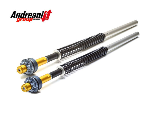 ANDREANI HYDRAULIC Állítható CARTRIDGE KIT HARLEY DAVIDSON DYNA (2006-2012)